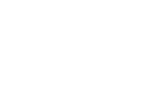 Museum Rocks!
